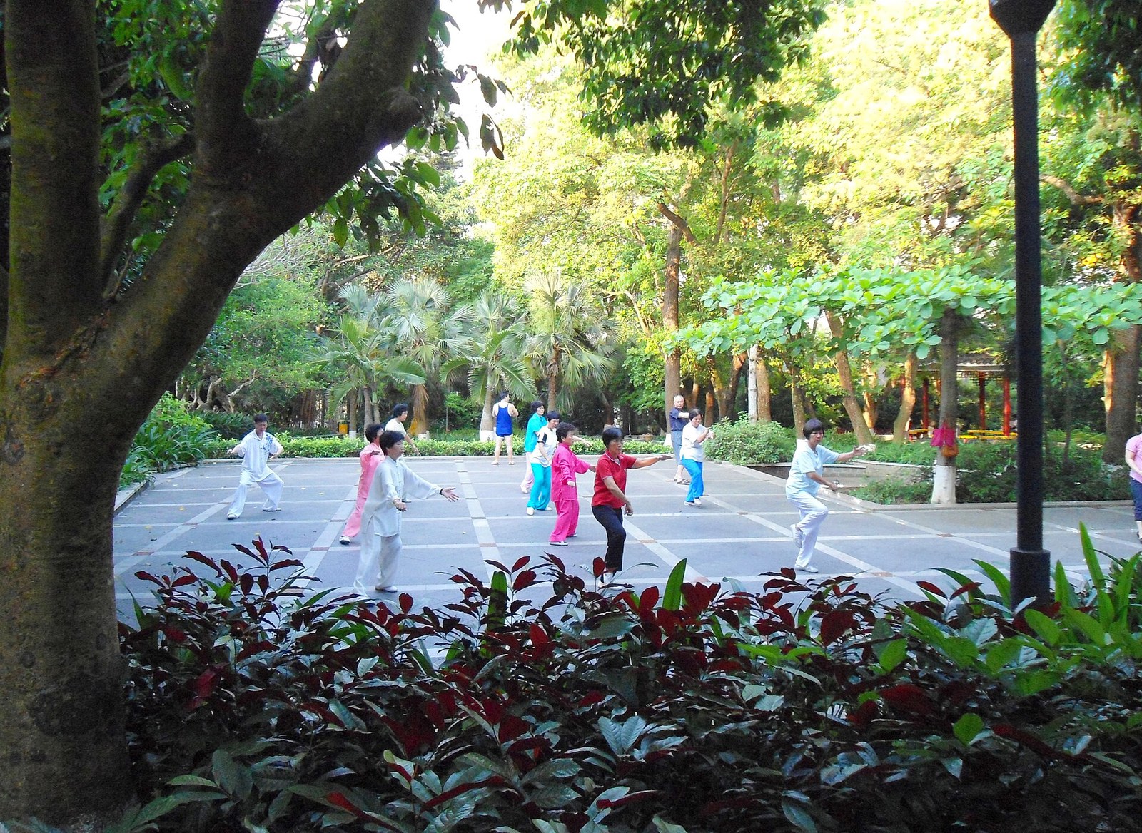 Persoane practicând qigong în aer liber, mișcări lente și fluide